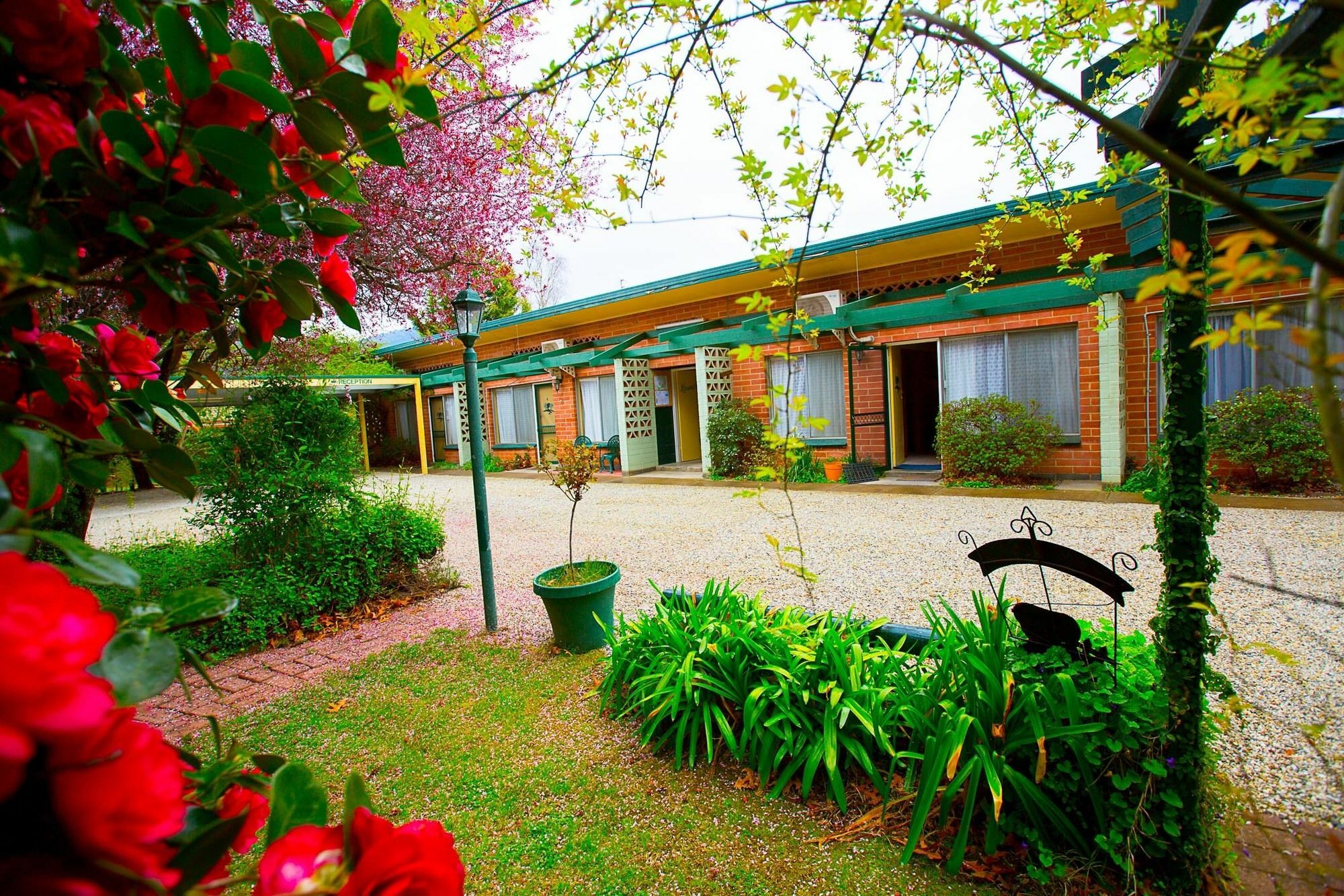 Carawatha Gardens Villa Bright Exterior photo